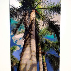 Cayo Hueso Palmas by Mark Agee