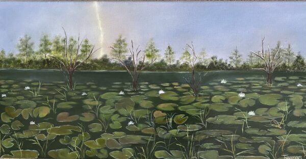 Evening Interrupted  by Terry Hawkins