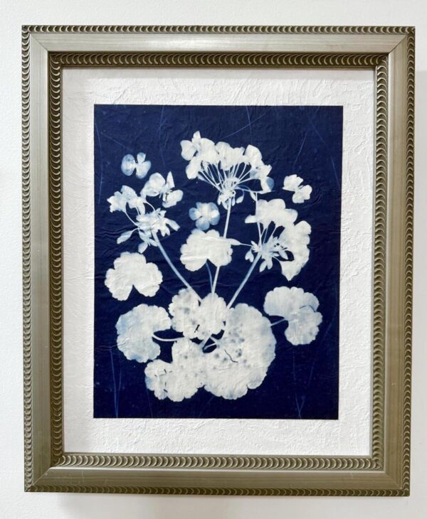 Geranium by Bobbi Zagrocki