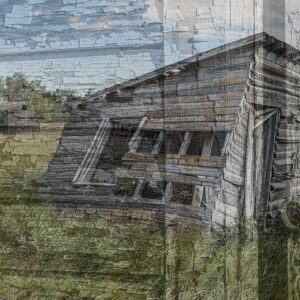 Ghosts of the Family Farm #79 by Roger Raepple