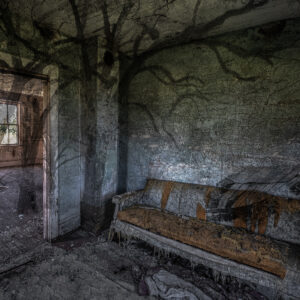 Ghosts of the Family Farm #85 by Roger Raepple