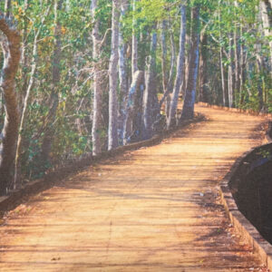 The Hidden Passage by Elisa Ray